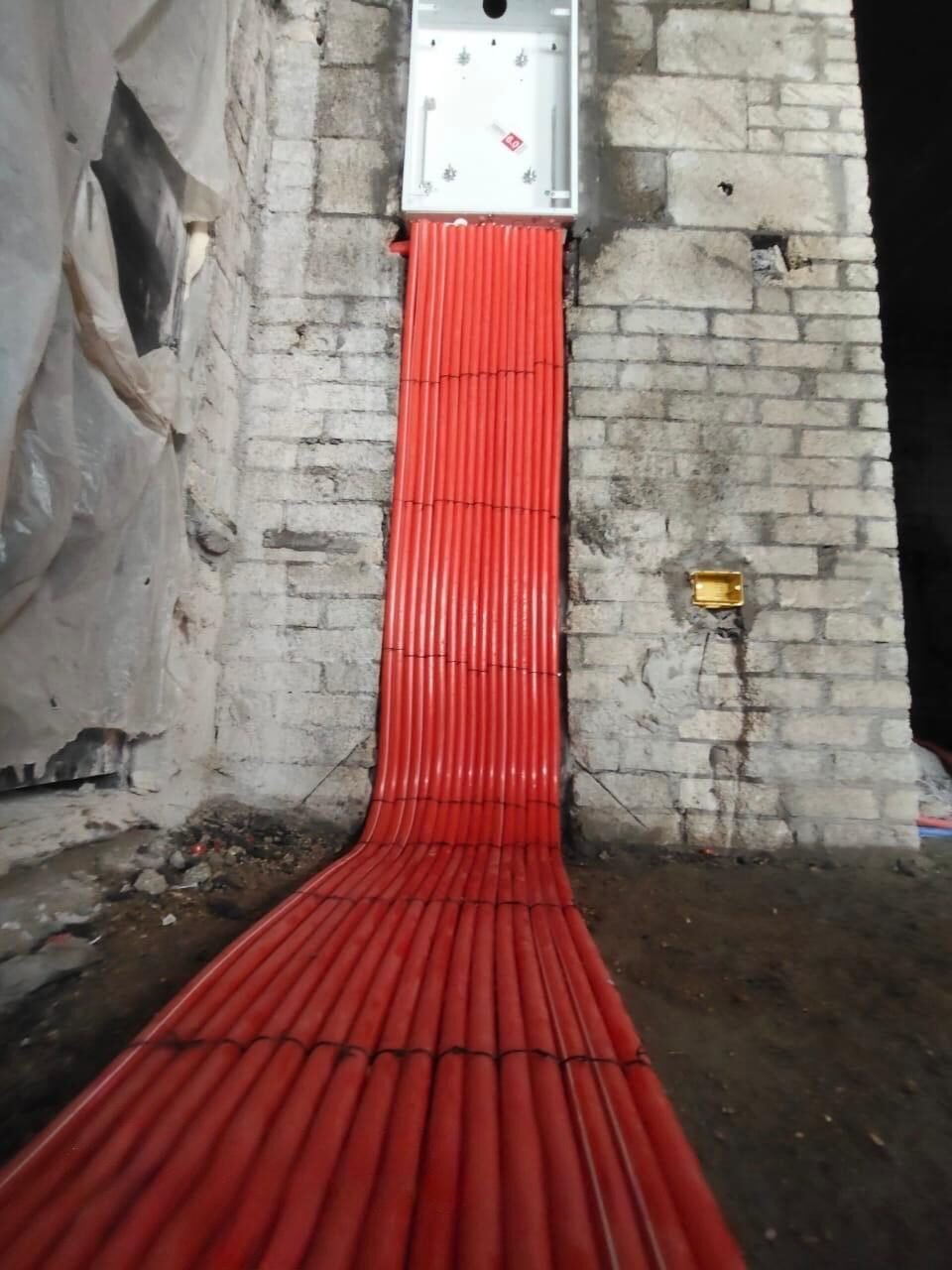 Conduit rising into the distribution board